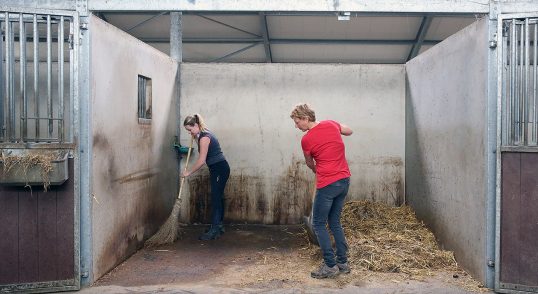 Mest ruimen stal Paardenpension De Groot
