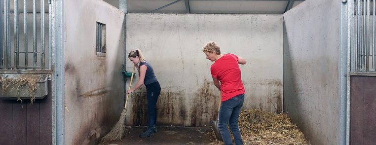 Mest ruimen stal Paardenpension De Groot