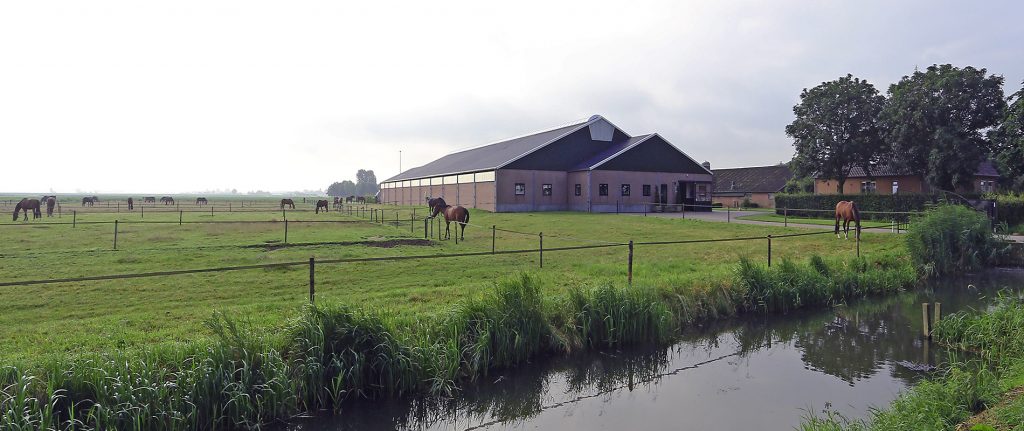 paardenpension_de_groot_diversen_11