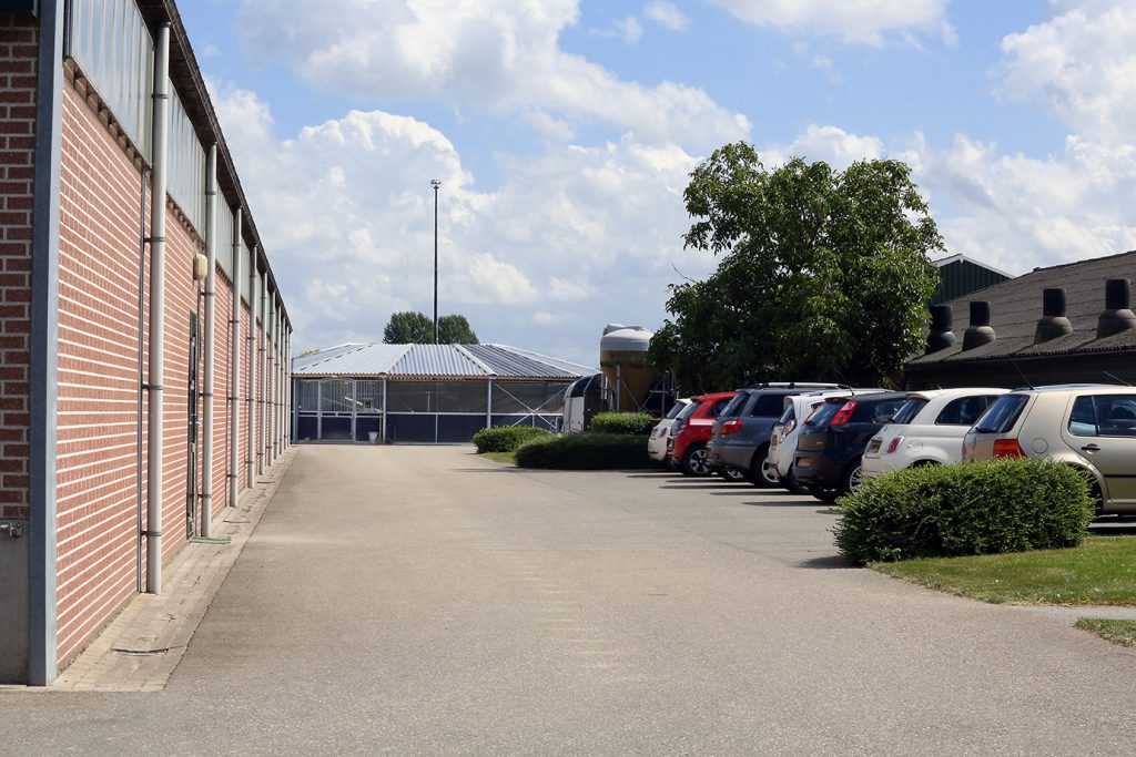 paardenpension_de_groot_diversen_12