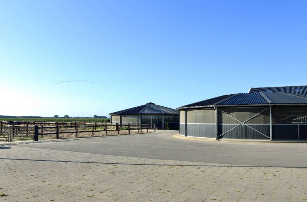 Paardenpension_de_Groot_overdekte_longeer+stapmolen