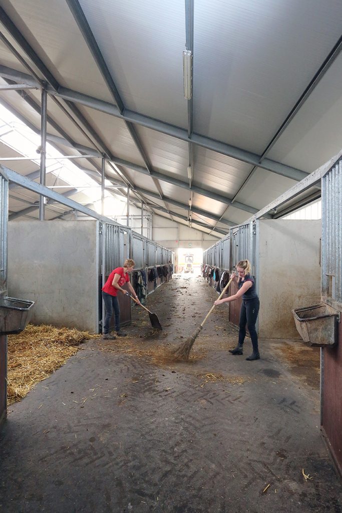 Hygiene paardenpension