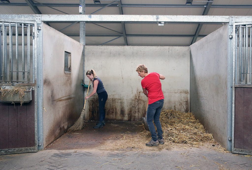 Hygiene paardenpension
