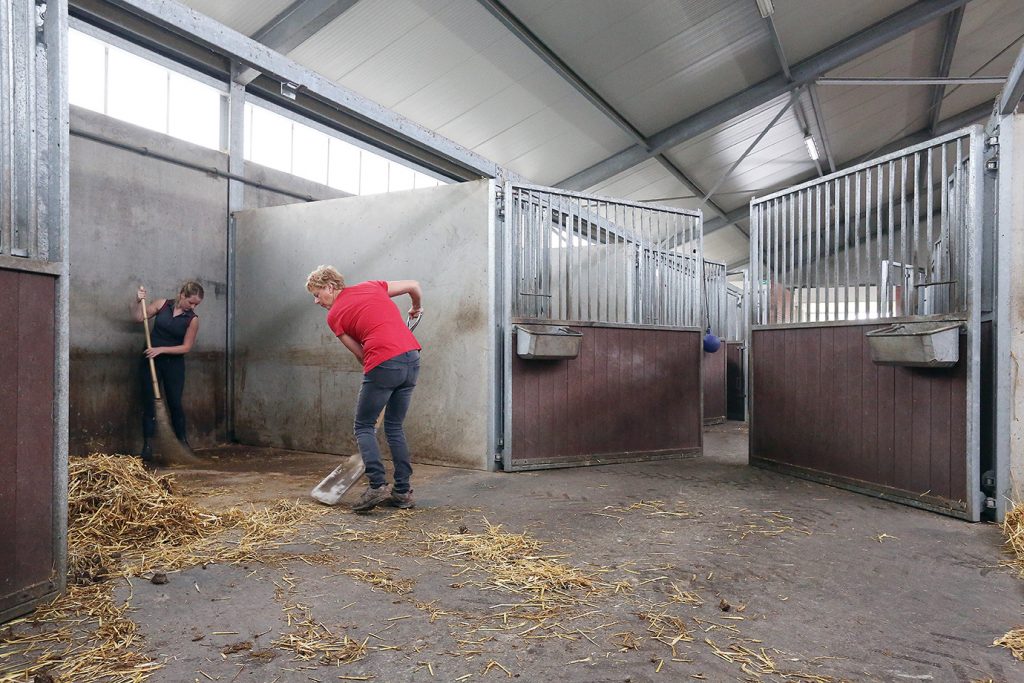 Hygiene paardenpension
