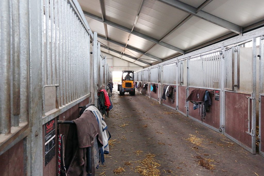 Hygiene paardenpension